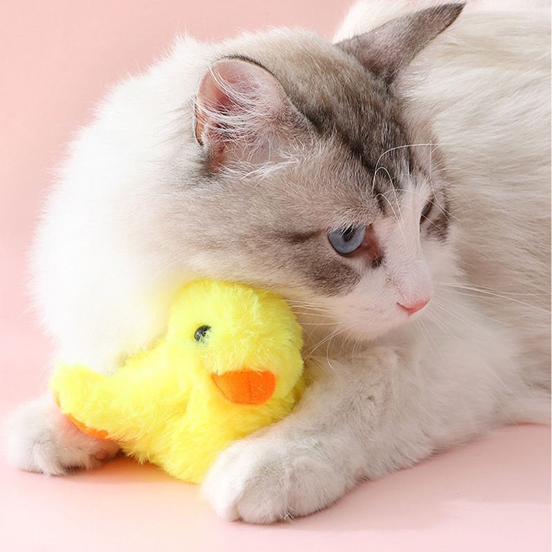 İnteraktif Şarjlı Ördek Kedi - Köpek Oyuncağı - Bi Elma